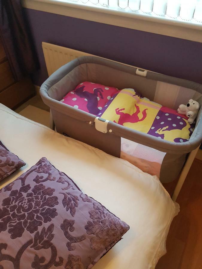 Homestay Oakridge Crescent Paisley Extérieur photo